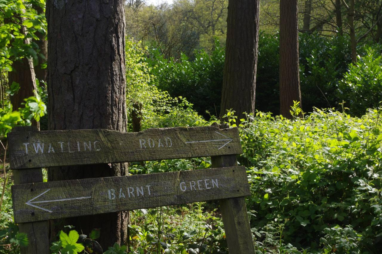 A wooden bridleway signpost in the Lickey Hills woodland